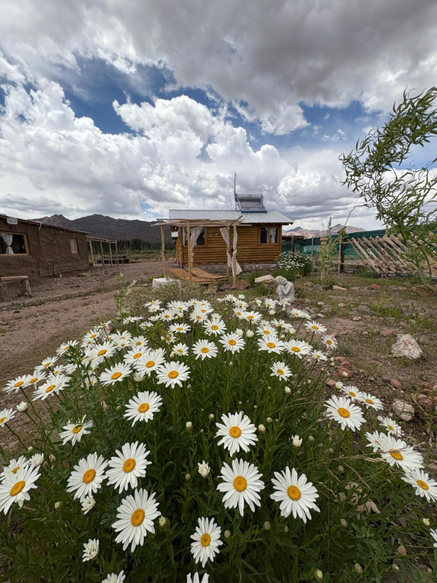 Paramitas Cabanas De Montana Uspallata Luaran gambar