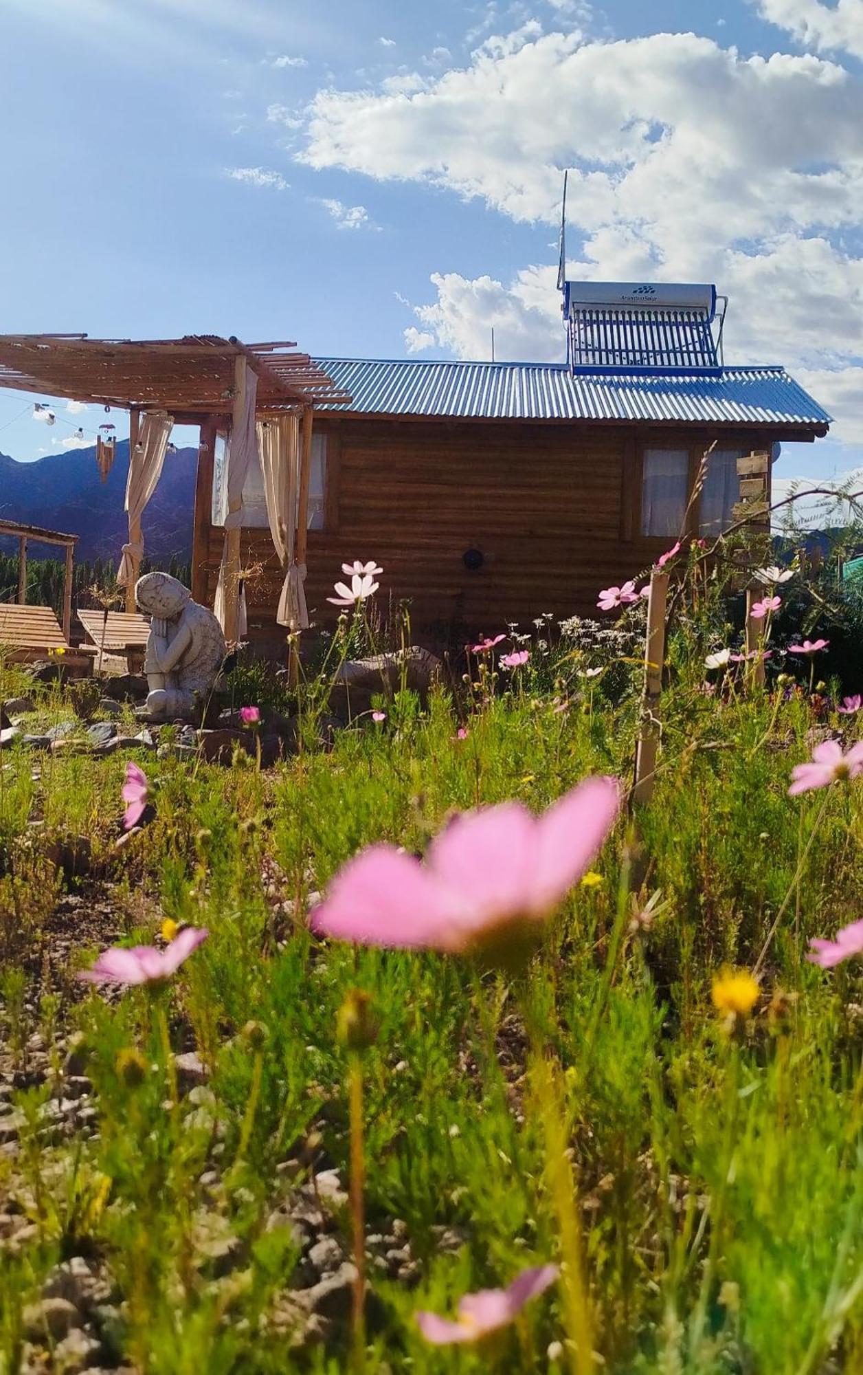 Paramitas Cabanas De Montana Uspallata Luaran gambar
